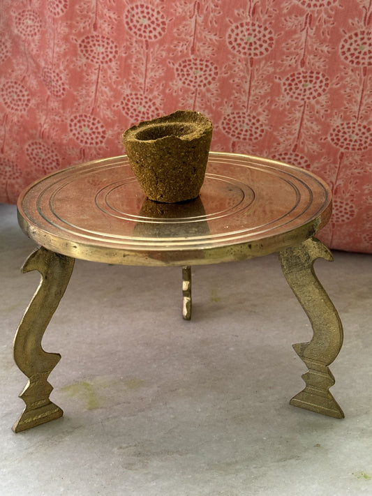 sambrani cup, panchakvya