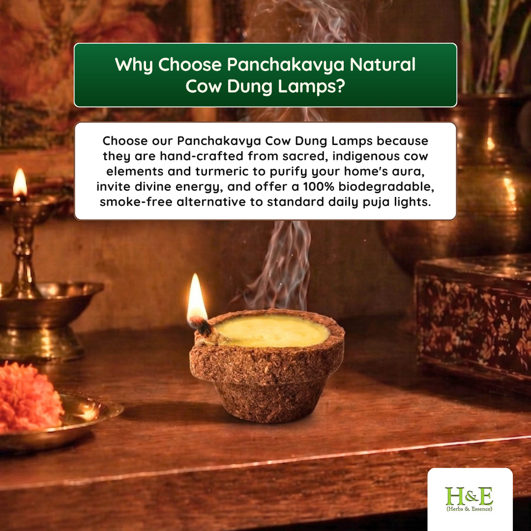 Panchakavya Natural Cow Dung Lamps (40pcs)
