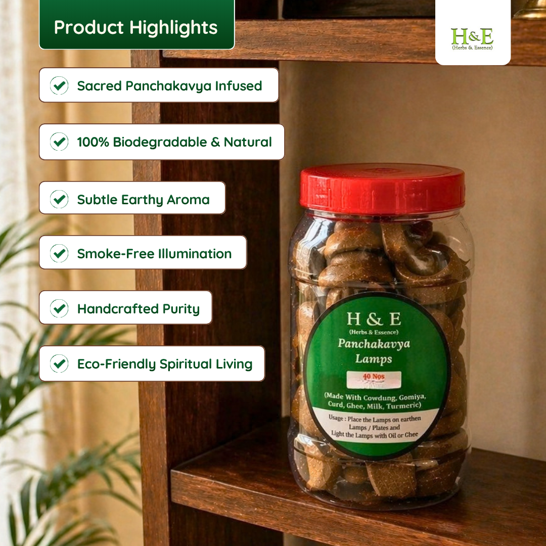 Panchakavya Natural Cow Dung Lamps (40pcs)